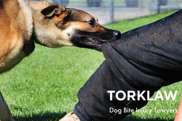 Rover dog bite injury lawyers