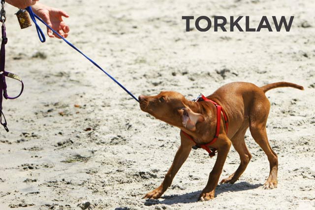 Wag! Dog Bite Injury Lawyers