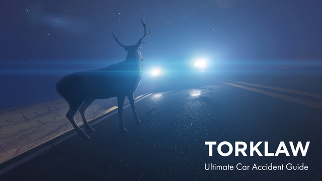 deer in the headlights