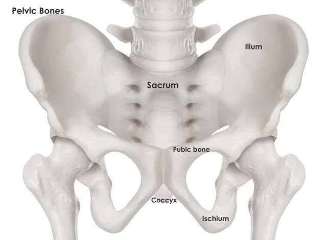 fractured pelvis