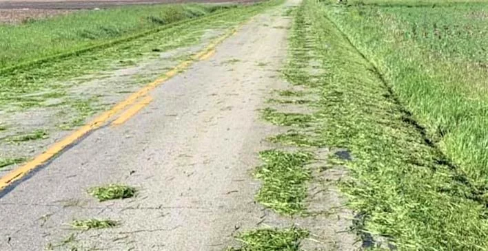 grass clippings kill motorcyclists